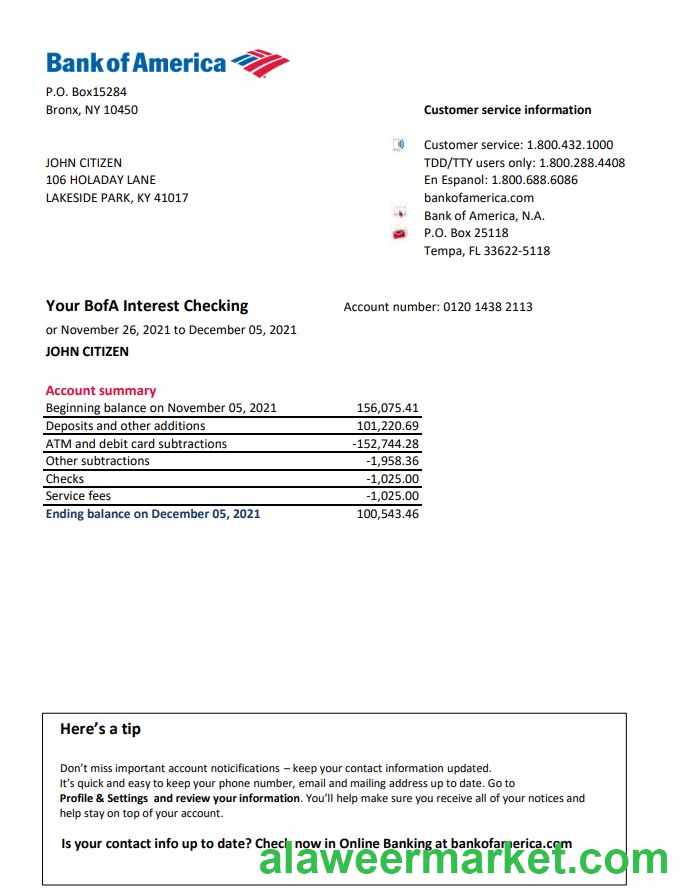 USA Bank of America bank statement easy to fill template in .xls and .pdf file format